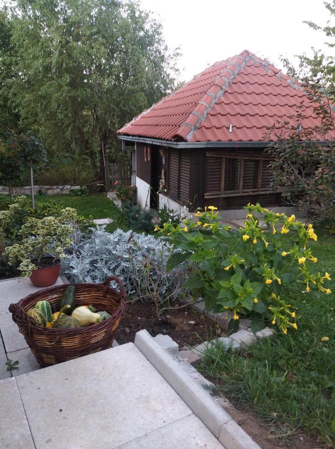 Apartman Civovic Рудник Екстериор снимка