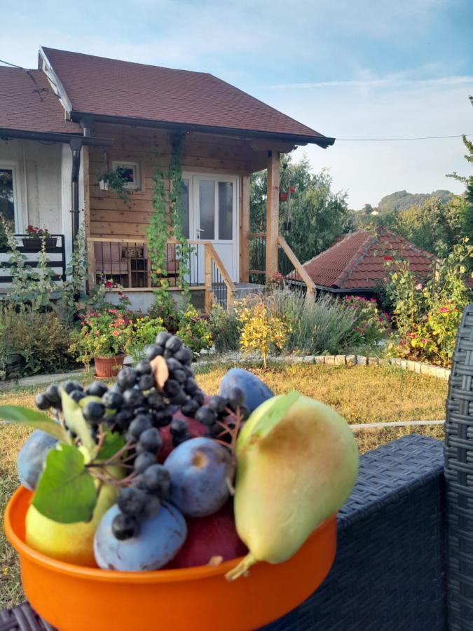 Apartman Civovic Рудник Екстериор снимка